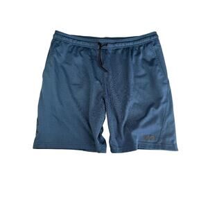 RVCA Mesh Athletic Shorts — Size L — Blue